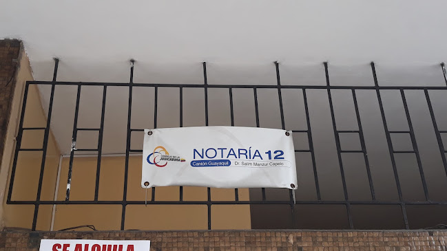 Opiniones de Notaría 12 en Guayaquil - Abogado