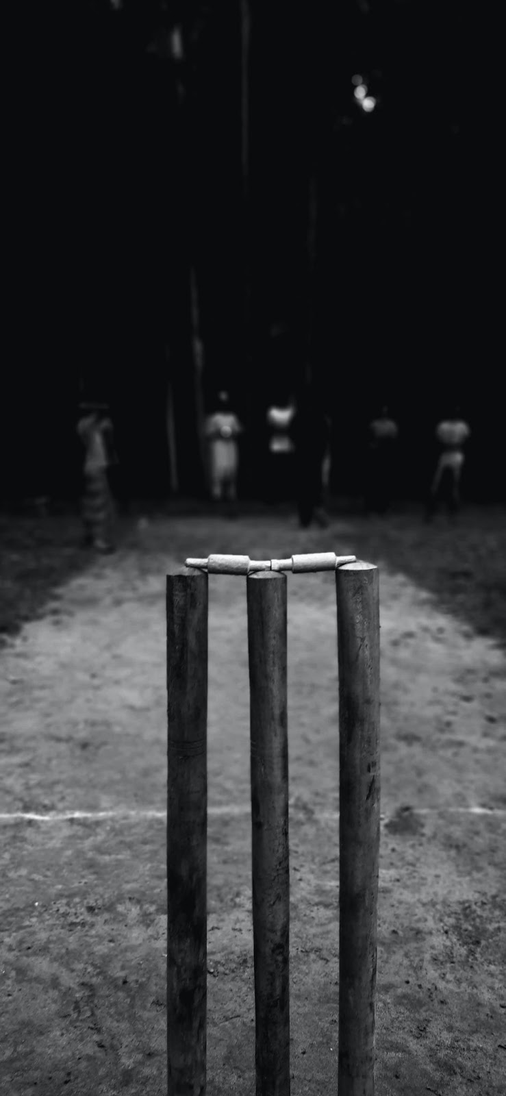cricket