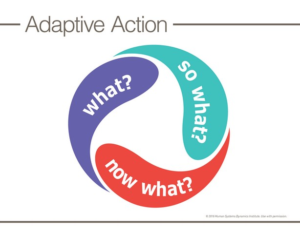 adaptive action graphic
