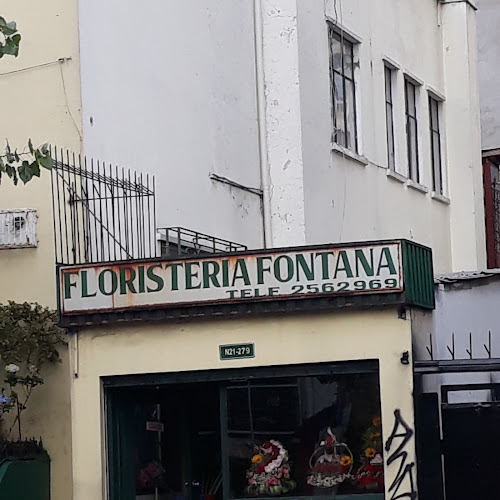 Opiniones de Floristeria Fontana en Quito - Floristería