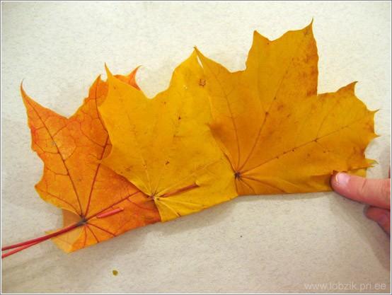 http://www.lobzik.pri.ee/catalog/291/leaf_crown_10.jpg