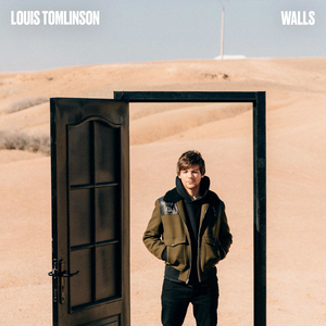 Louis Tomlinson Walls Vinyl Record