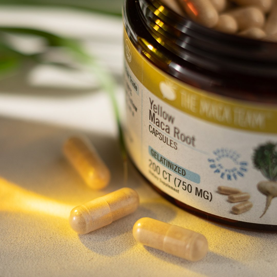 Gelatinized Yellow Maca Root Capsules - Shop TheMacaTeam.com.