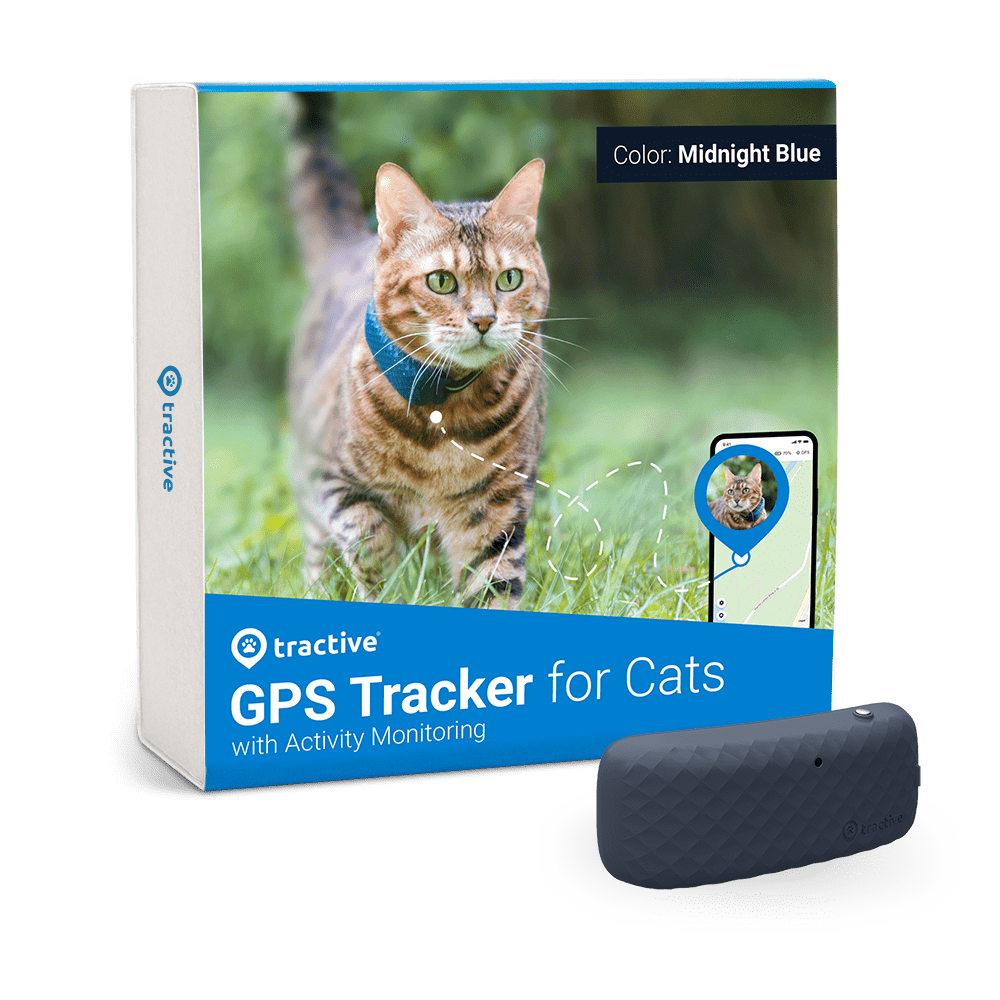 best-trackers-for-cats-cat-safety