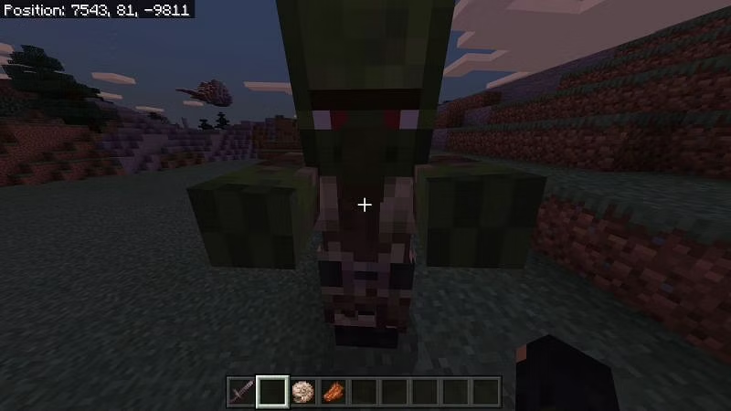 Zombie in Minecraft