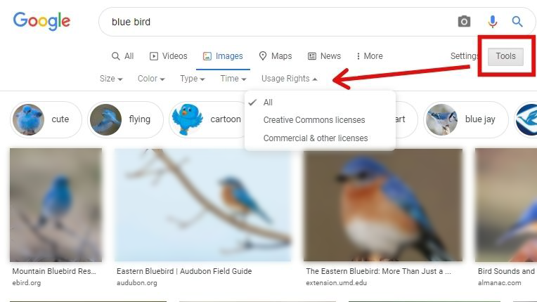 Sử dụng công cụ tìm kiếm hình ảnh Google Image với bộ lọc