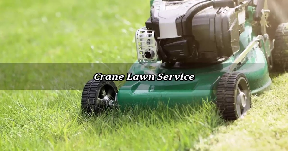 Crane Lawn Service.mp4
