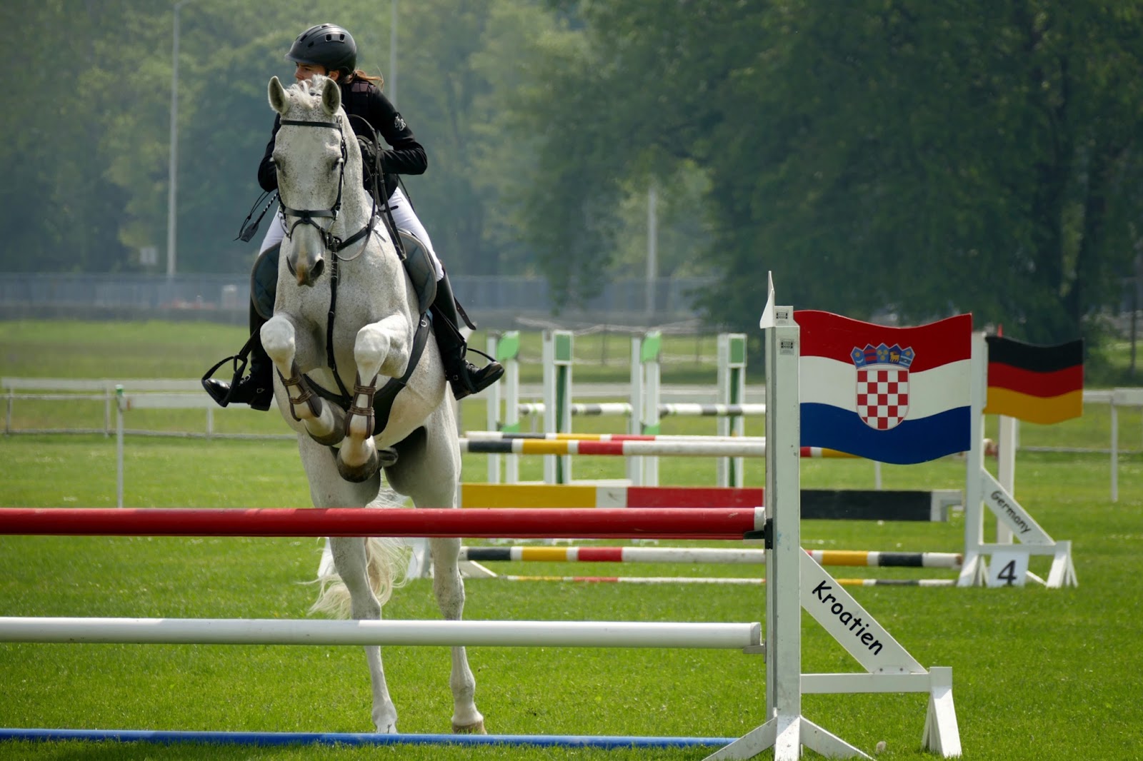 Junior rider on a grey pony looks to the right while clearing a vertical jump