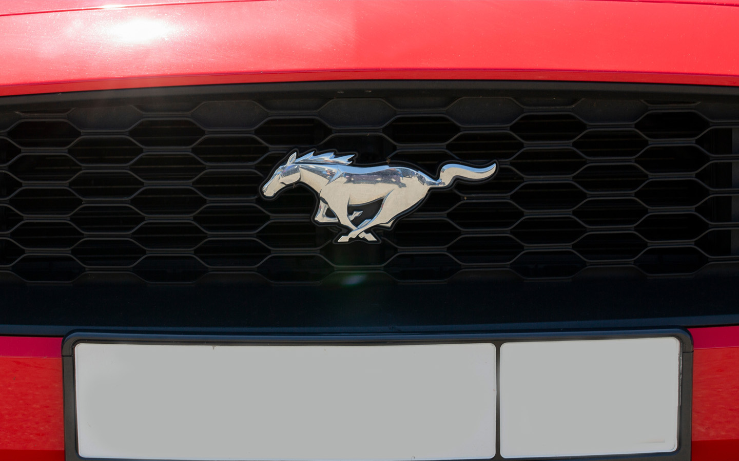 car logos with animals: ford mustang logo