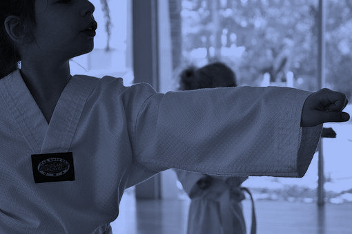 Martial Arts, Discipline, Defense