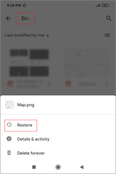 google-drive-bin-restore