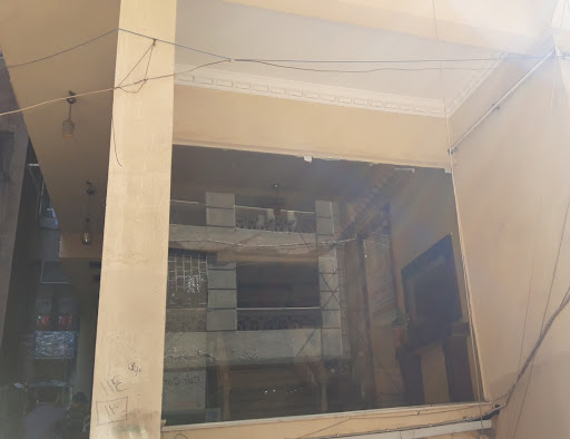 الأستاذ الدكتور ماجد حسين فهمى - صورة 5