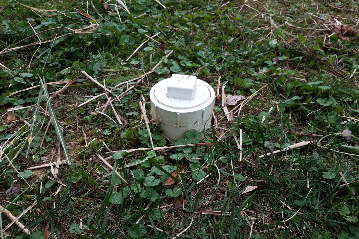 Sewer drain cleanout with white cap in Jackson, MS, backyard.