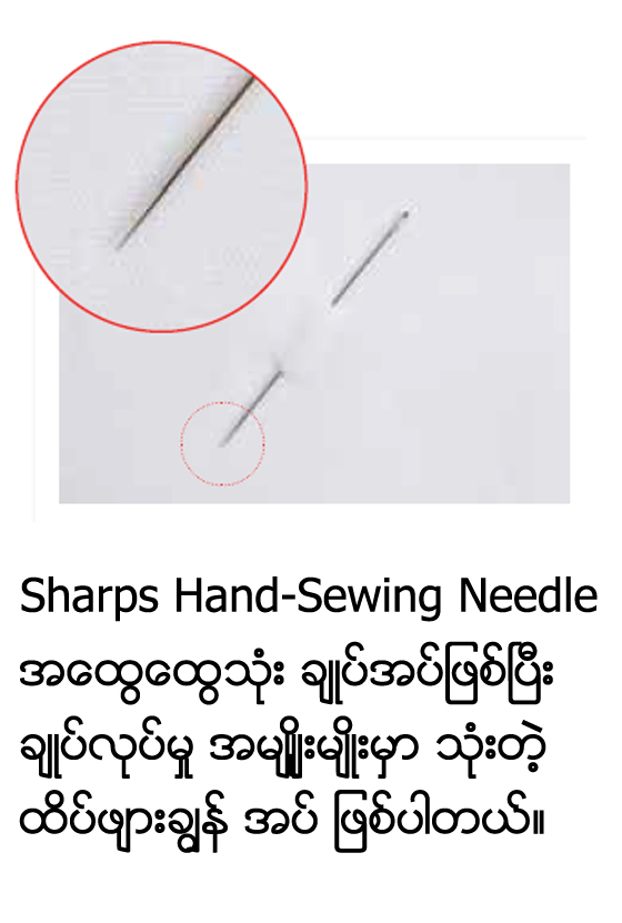 sharp end neddle