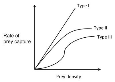 A line graph with prey density on the x-axis and rate of prey capture on the y-axis shows the three functional response curves. Type 1 is a straight line. Type 2 is a concave down curve that rises at declining rates. The type 3 curve is a sigmoidal curve, starting out exponential and increasing at slower rates as prey density increases. 