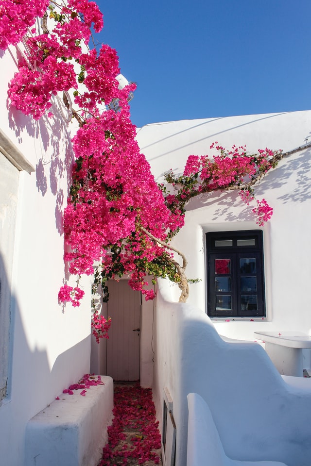An Escape to the Greek Allure