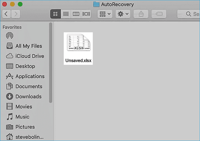Lost Excel Files on Mac