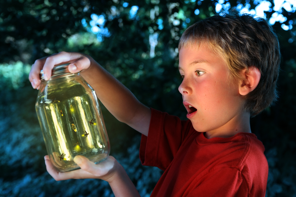 Catching fireflies