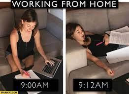 working form home memes