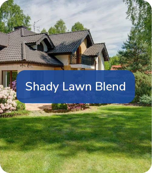 shady lawn blend