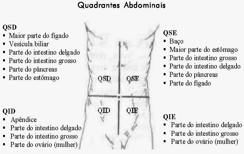 Bombeiroswaldo: Quadrantes Abdominais - QSD (Quadrante Superior Direito) -  QSE (Quadrante Superior Esquerdo) - QID (Quadrante Inferior Direito) - QIE ( Quadrante Inferior Esquerdo)