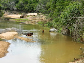 Lagoa da vaca - rio gavião