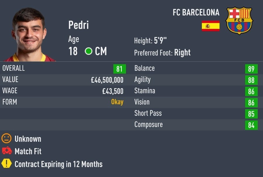 Pedri - Best Young CM FIFA 23