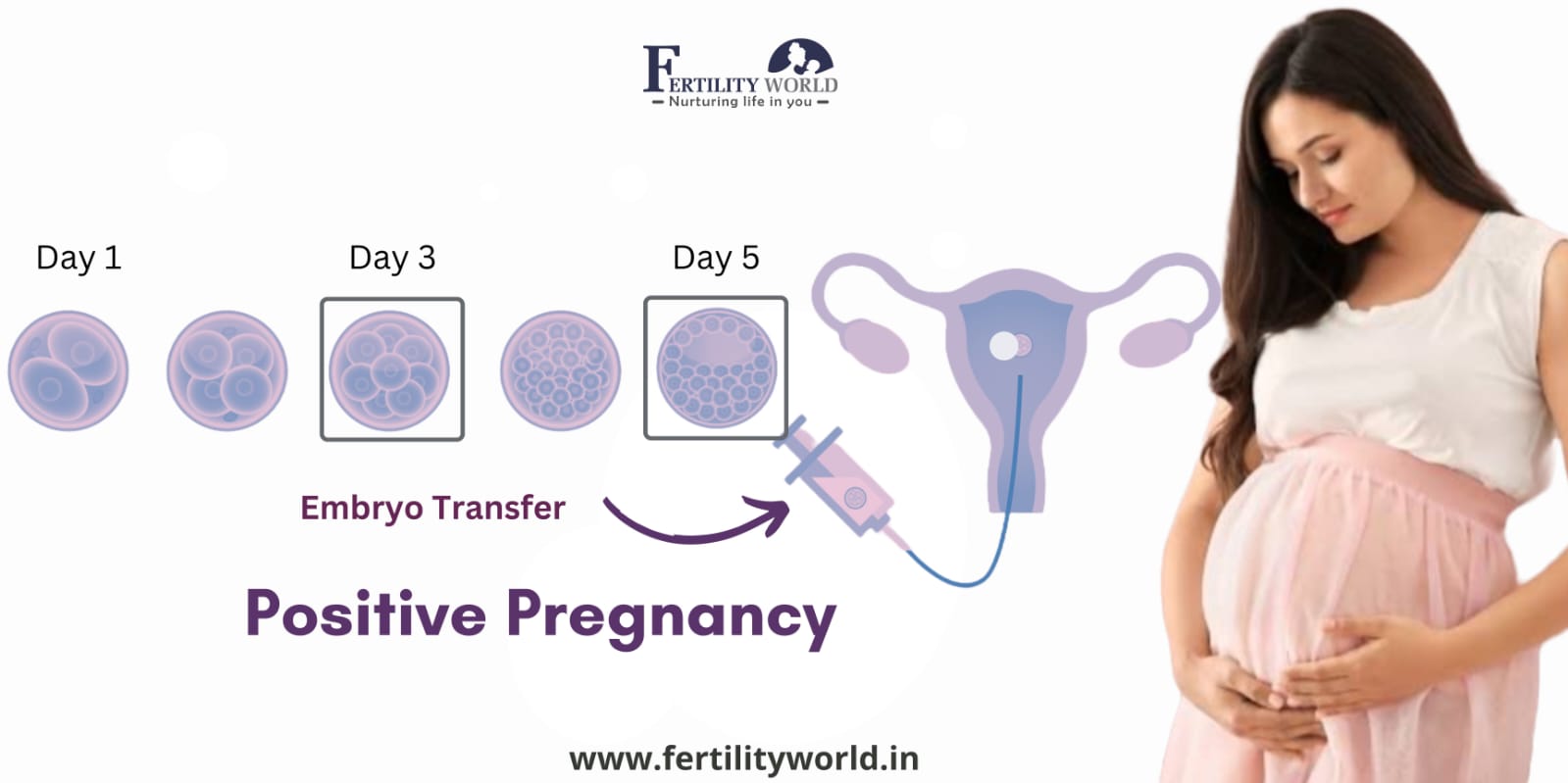 IVF success rate in Punjab