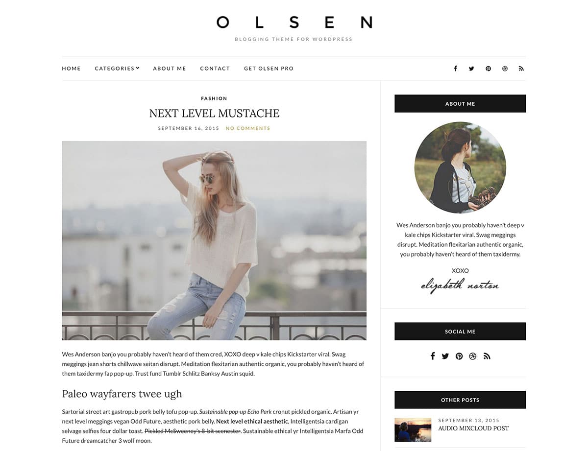 olsen-light-wordpress-theme