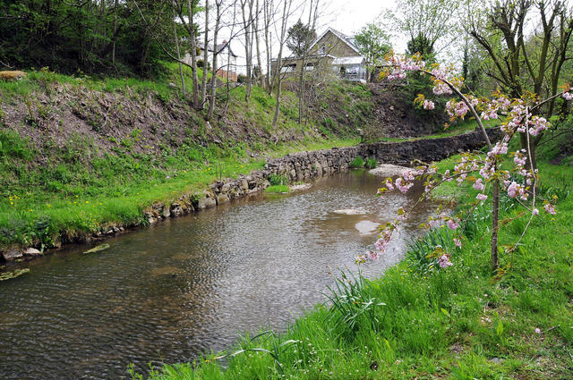 A picture of a small pool of water where Heber C. Kimball and other missionaries baptized new members in Chatburn England 