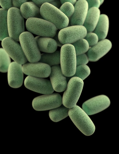 Forget The Martian, bacteria are the true fearless space explorers | Joyful Microbe
