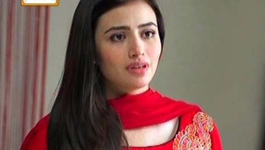 Pyaray Afzal Episode 35 Full on Ary Digital