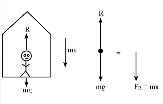 Dynamics | Laws Of Motion Class 11 | Physics | Notes