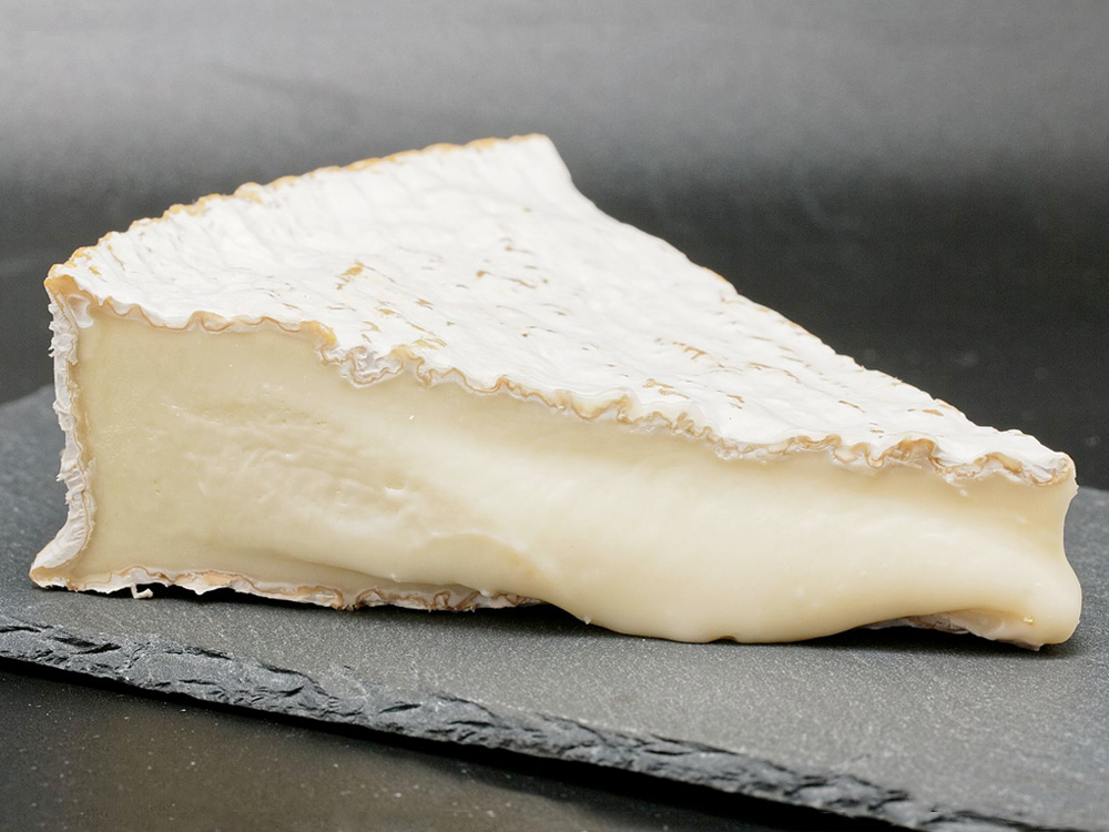 Can Dogs Eat Brie Cheese? Everything You Need To Know