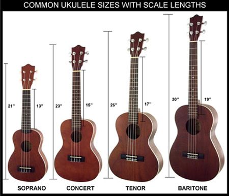 ukelele-different-sizes