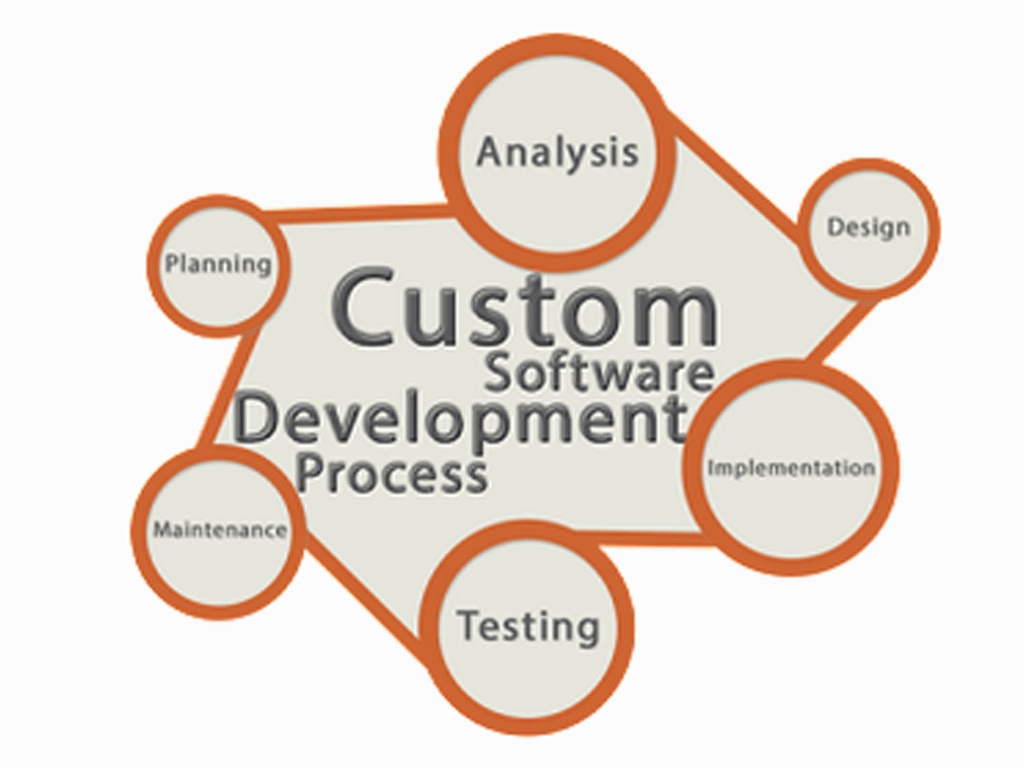 custom software development