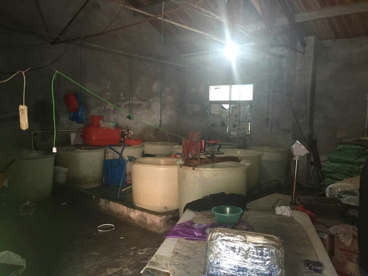 Mr. Yuan's fake jellyfish workshop in Huzhou, Zhejiang Province. (via Huzhou Police)