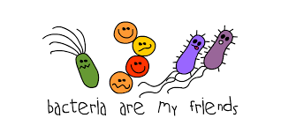https://futurizable.com/bacterias/