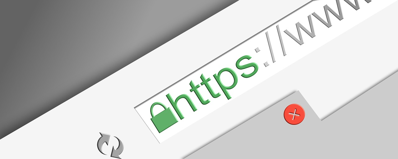 Imagen de la barra de un buscador con https, protocolo seguro de transferencia de hipertexto importante para tu tráfico web. 