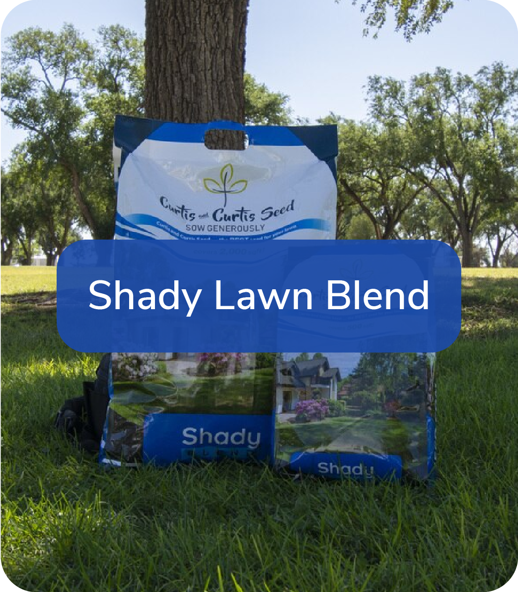shady lawn blend bag of grass seed propped against a tree