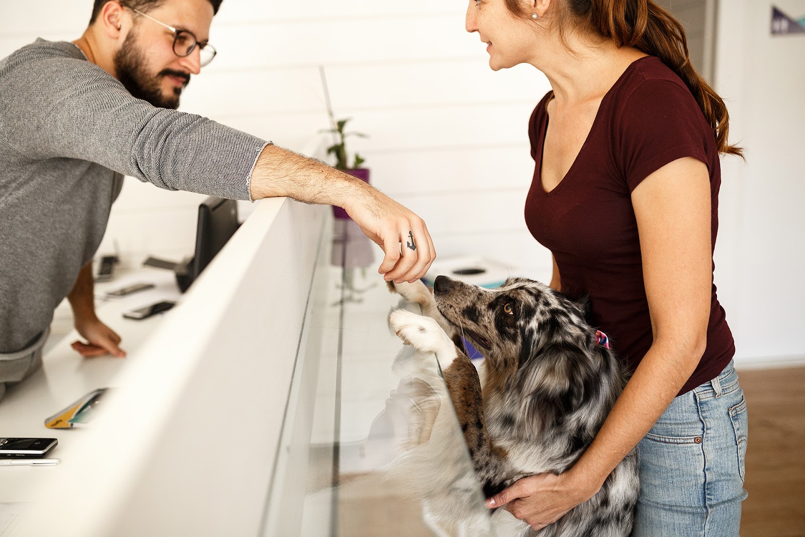 cliente levando cachorro no pet shop para banho e tosa 