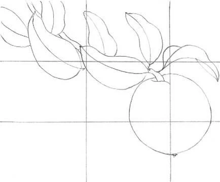 D:\0 wd yedek\acr yedek\1 film indirme\botanicheskaya_illyustraciya2_files\image037.jpg
