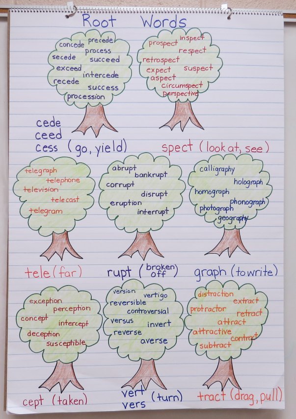 Anchor charts with drawings of trees