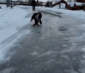 1446823510919920.gif