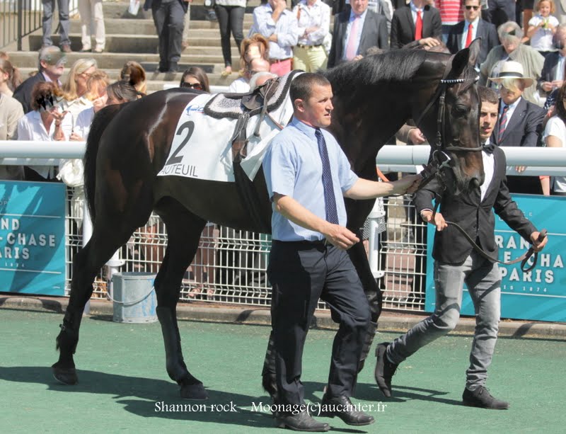 Photos Auteuil 17-05-2015 Journée du Grand Steeple 6ErKiwN-FRcJjLKQxKvT2d8IctfTUeqikc953cCN3iCd=w800-h613-no