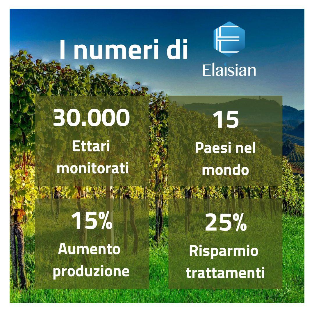 Nessuna descrizione alternativa per questa immagine