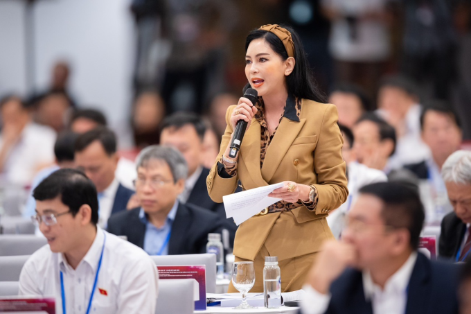 Theo bà Thủy Tiên, từ năm 2016, tập đoàn IPPG đã thuê công ty Sheerman (Anh) lập đề án thành lập trung tâm tài chính tại TP HCM và Đà Nẵng.