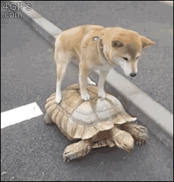 1440399813812217.gif