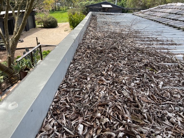 Leaves fill your gutters before Winter