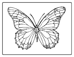 Image result for bug coloring pages